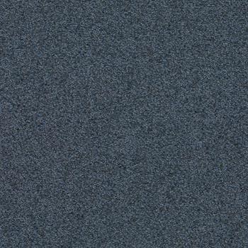 T371850 T371850